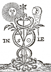 Gustav Wilhelm Geßmann – Die Pflanze im Zauberglauben und in der spagyrischen (okkulten) Heilkunst